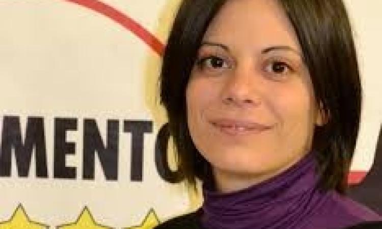 Ponte crollato, Terzoni (M5S): "Disastro evitabile, individuare subito i responsabili"