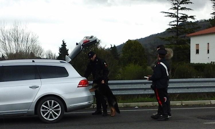 Macerata,  attività anti-droga: controlli su 200 persone e 50 mezzi