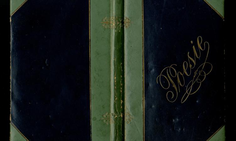 Le poesie ritrovate di Alinda Bonacci Brunamonti