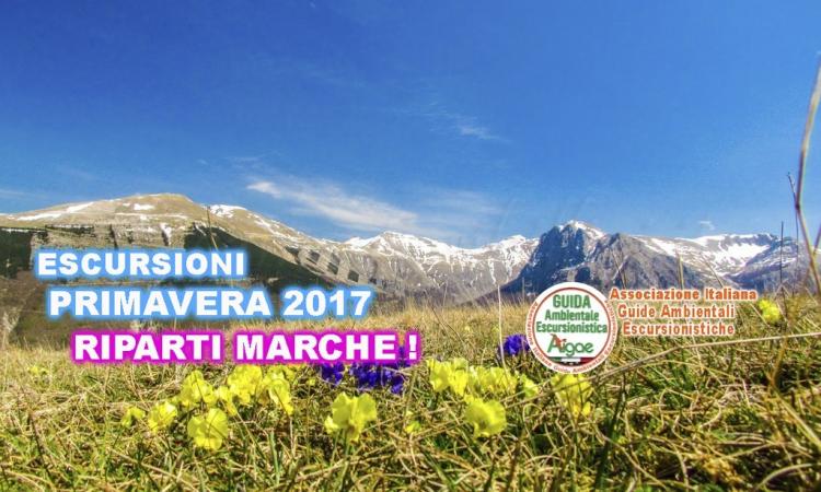 Riparti Marche: un calendario ricco di escursioni e trekking Riparti Marche: un calendario ricco di escursioni e trekking