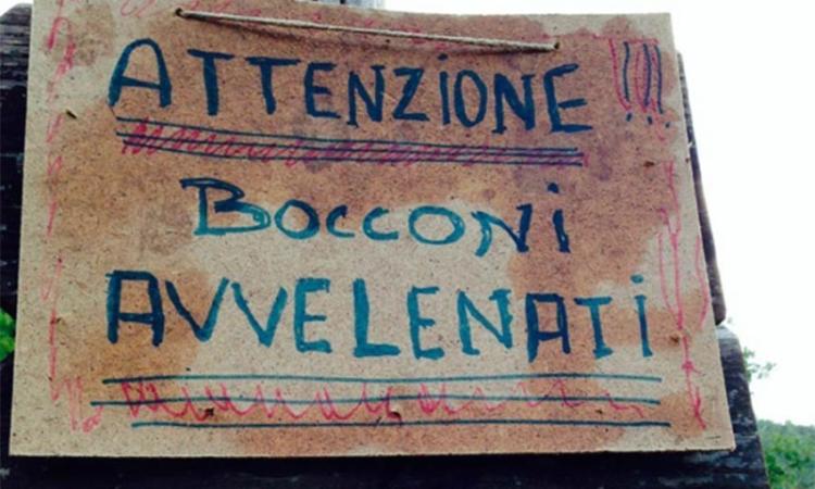 Allarme bocconi avvelenati a Sforzacosta: ancora un atto di inciviltà