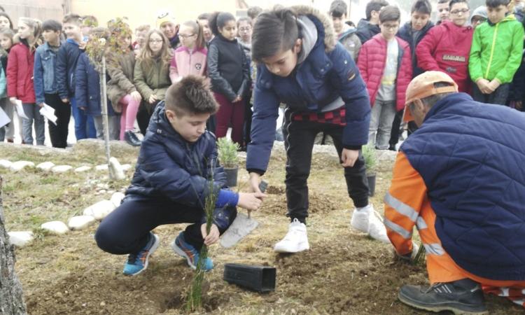 Festa dell'albero: a Potenza Picena si celebra la natura