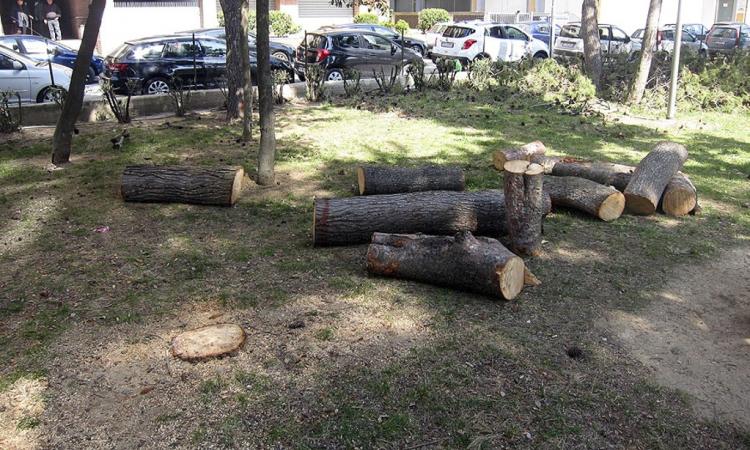 Civitanova: tutto pronto per l'apertura dei cancelli dell'ex Ente Fiera