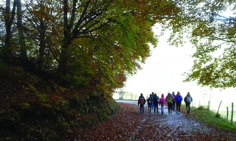 L'appello accorato di Forestalp: "Il sisma ci ha fermato. Aiutateci a sopravvivere!"