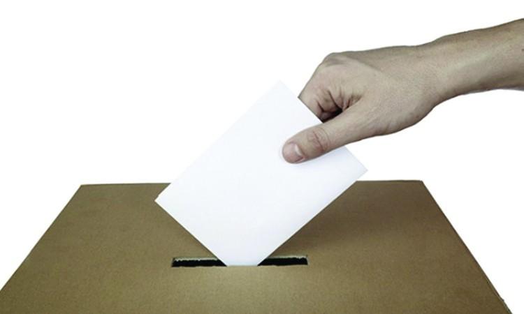 Pubblicità elettorale: il regolamento per accedere agli spazi su Picchio News