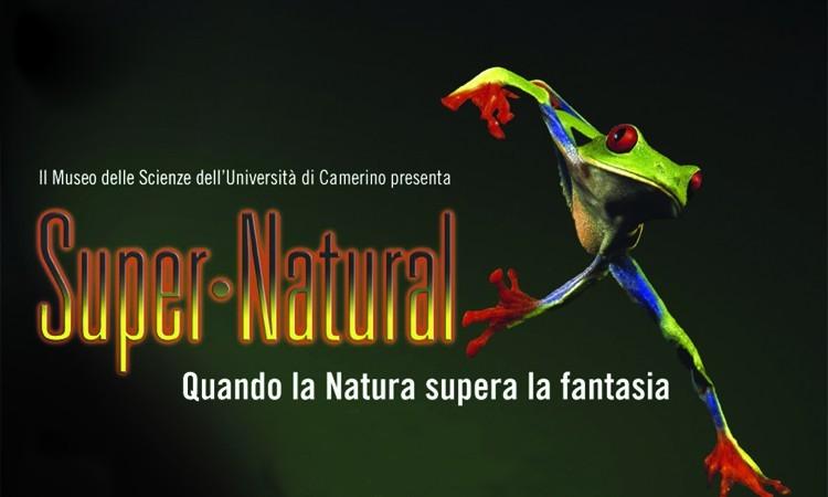 Seconda tappa della mostra itinerante "Super Natural”: dal 12 maggio è ospitata a recanati