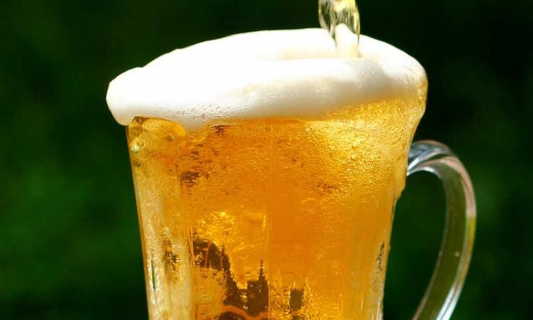 A Potenza Picena torna “Rock Hop Fest”