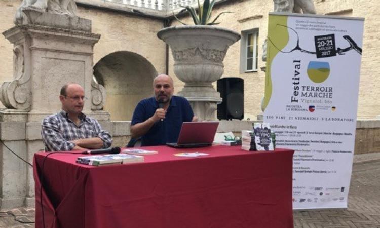 Al via Terroir Marche festival: a Macerata si festeggiano i vini bio