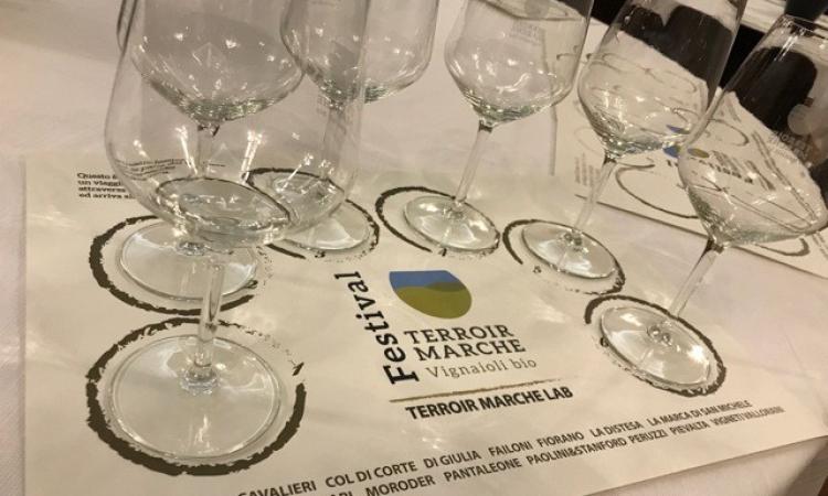 Terroir Marche: un buon inizio per il festival dei vini bio