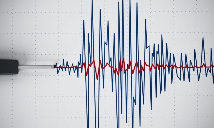 Ingv: "Siamo dispiaciuti per il falso allarme, c'è stato un errore tecnico"