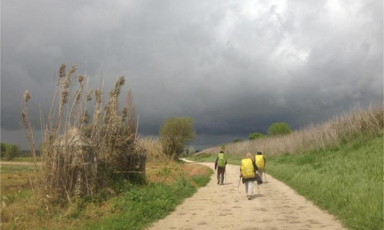 Domenica 25 giugno tutti a piedi alla scoperta dell'antica via romano-laurentana