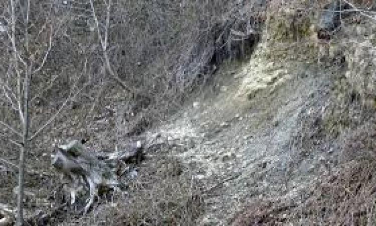 Due milioni alle Unioni Montane per la sistemazione idraulico forestale