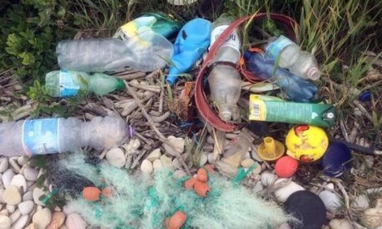 Marche, oltre 2.300 rifiuti spiaggiati