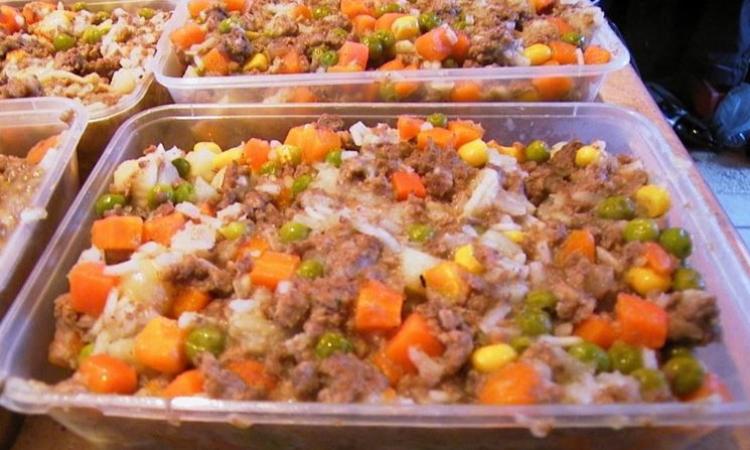 Salmonella nel cibo per animali domestici: allarme del Ministero della salute