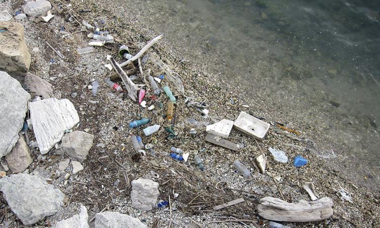 Civitanova, discarica a cielo aperto in un angolo di porto
