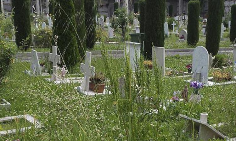 Erbacce e abbandono al cimitero, Macerata ai Maceratesi: "Il Comune trovi tempo per la manutenzione"
