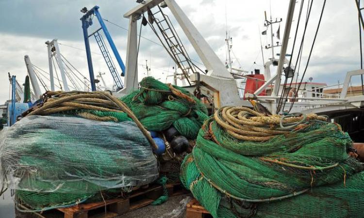 Dal 28 agosto scatta il fermo pesca in tutte le Marche