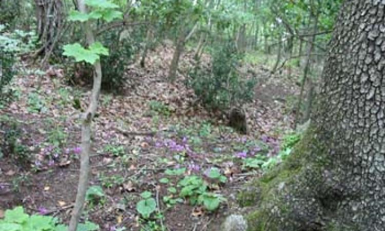 "Canta e racconta l'acqua": l'Unione Montana promuove una passeggiata alle fontanelle di Sant'Angelo in Pontano