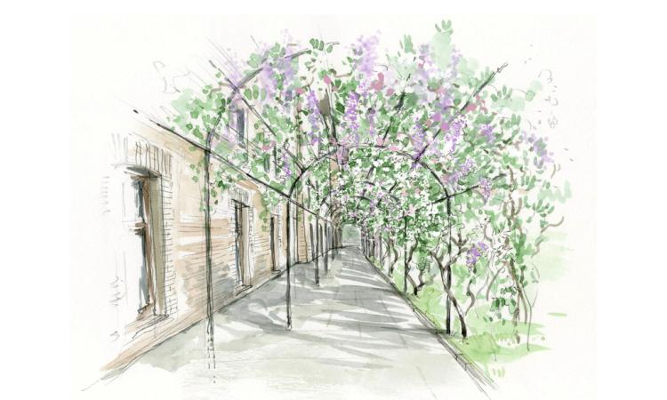 Parte il progetto di rigenerazione botanica del Colle dell’Infinito