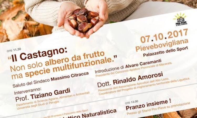 Il 7 e l'8 ottobre il castagno e i suoi frutti domineranno la scena a Valfornace