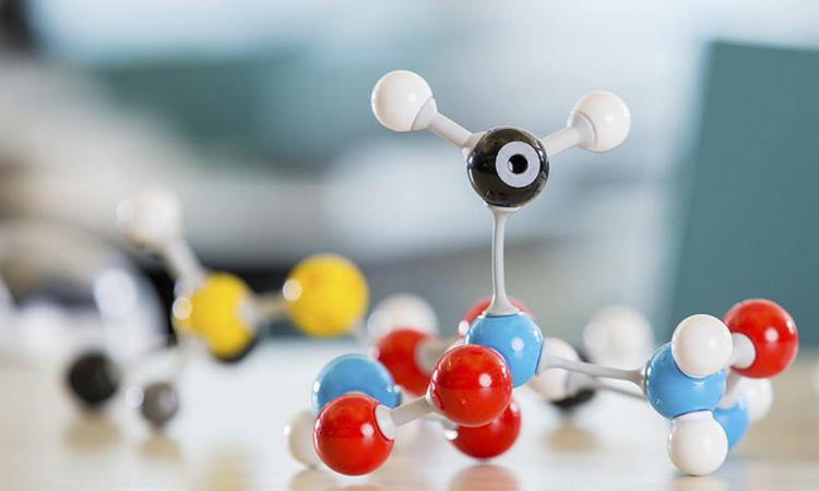 Due giorni in Unicam dedicati alla Fisica: il 28 e 29 settembre appuntamenti con 30 anni di Fisica e la notte dei ricercatori