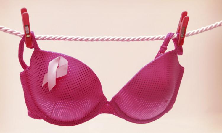 Macerata, il palazzo comunale si tinge di rosa per i 25 anni della campagna contro il tumore al seno