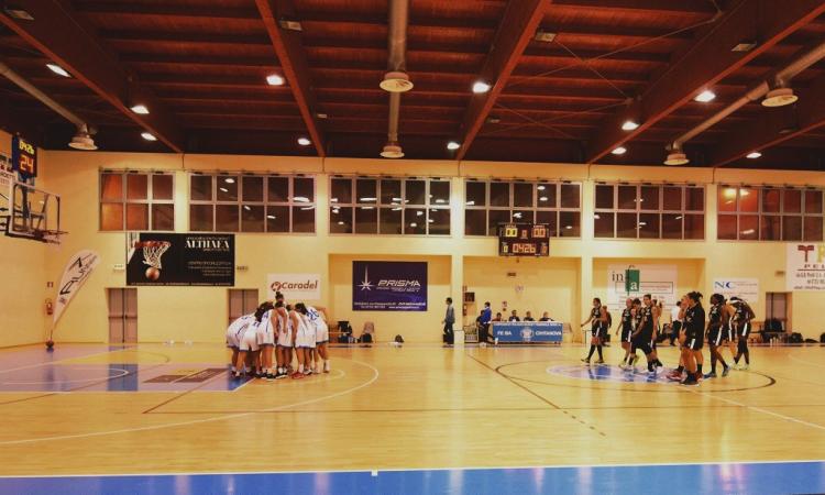 L’Infa Feba Civitanova torna al successo: trionfo casalingo contro la Carispezia