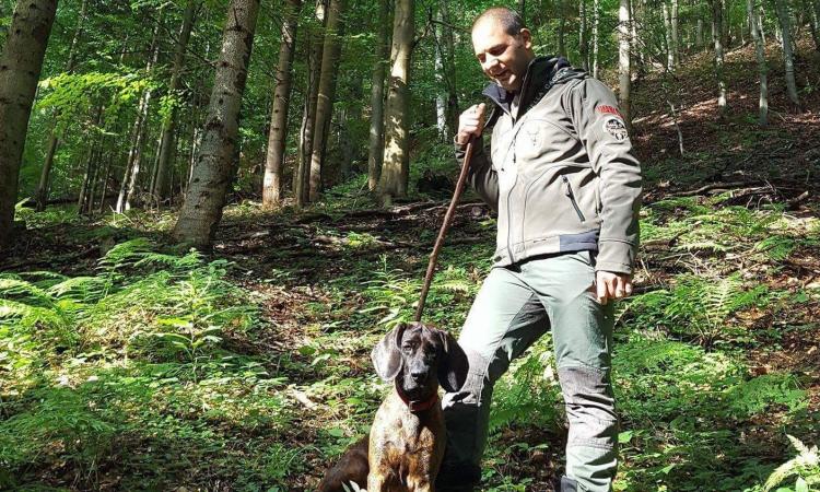 Tolentino, salva un uomo caduto in casa: il cane Aissa diventa eroe per una notte
