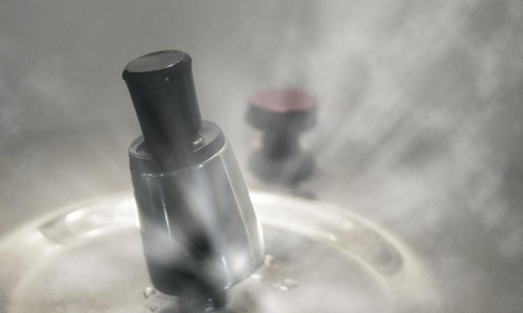 Morrovalle, le esplode la pentola a pressione in faccia mentre cucina: grave una donna