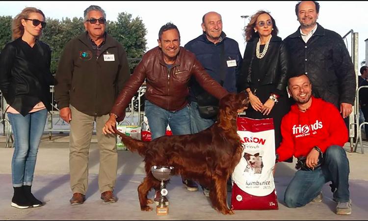 Civitanova, successo per l'esposizione canina: ecco i vincitori