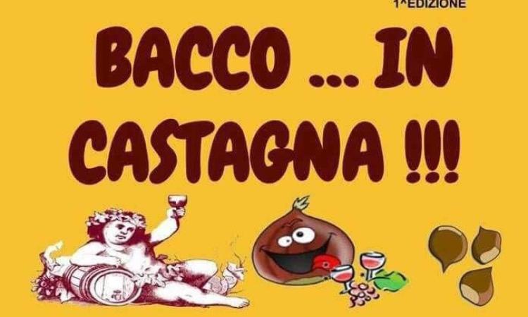 Mogliano, San Martino si festeggia in piazza con "Bacco in Castagna"