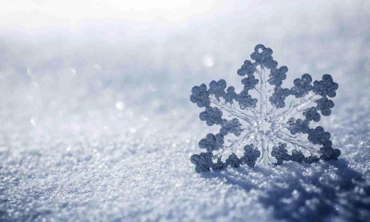 Post sisma, stabiliti criteri per erogazione dei contributi alle imprese agricole danneggiate dalle nevicate