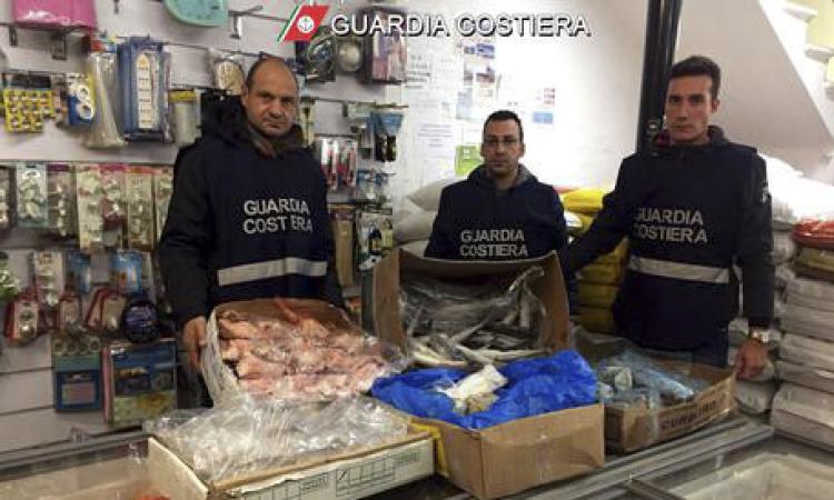 Bilancio positivo dell'operazione "Scombrus" intrapresa dalla Guardia Costiera