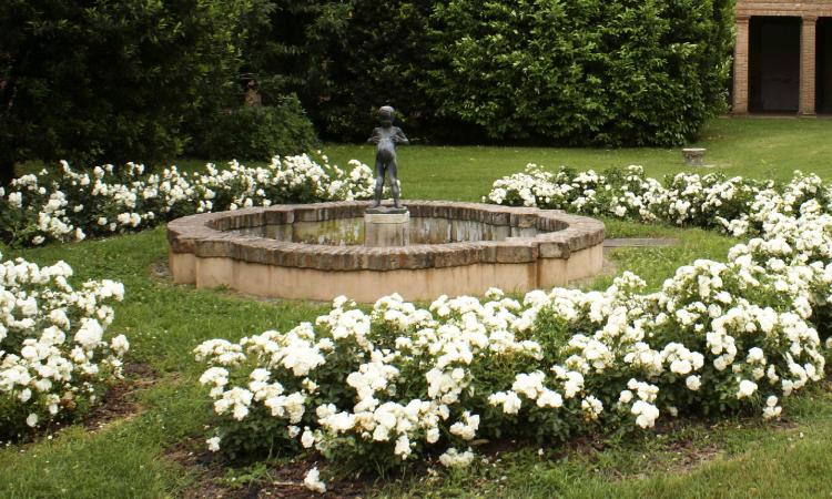 Montecassiano, domani a Palazzo dei Priori la presentazione del libro “La rosa del mio giardino”