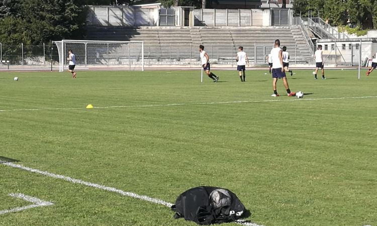 Tolentino calcio, aggiornamenti sulle operazioni di mercato
