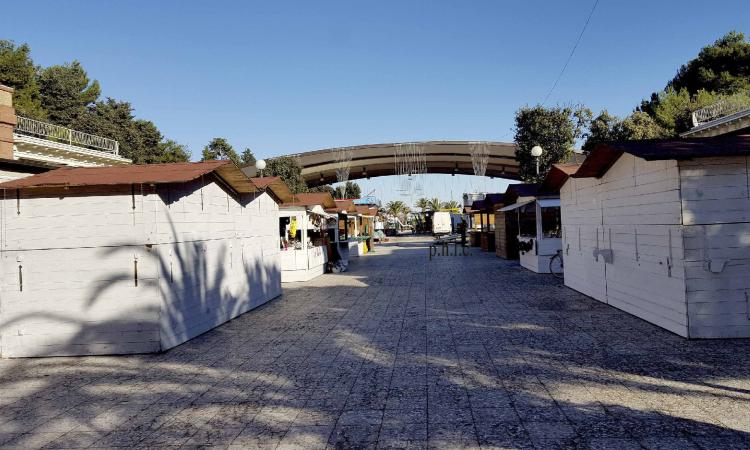 Natale alle porte, domani l'accensione delle luminarie a Civitanova