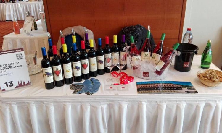 A Mogliano il primo evento "Farmer Market" con prodotti del cratere e a km zero