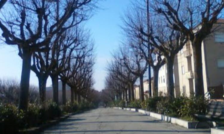 Morrovalle, Nuovo Germoglio: "Senza il terremoto, si sarebbe rifatto il Pincio?"