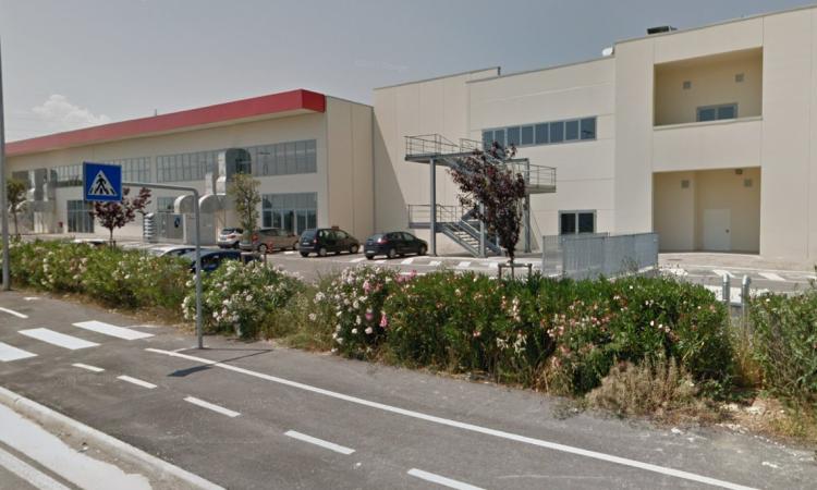 "Curiosando", la mostra di antiquariato e collezionismo all'Ente Fiera di Civitanova Marche