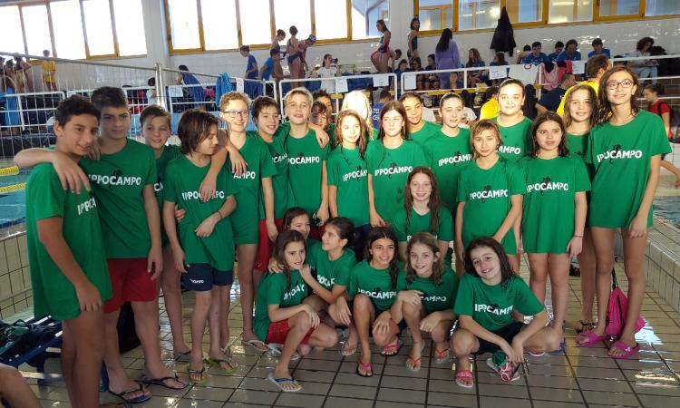 Ippocampo Civitanova, una nuova vittoria "casalinga" per la squadra