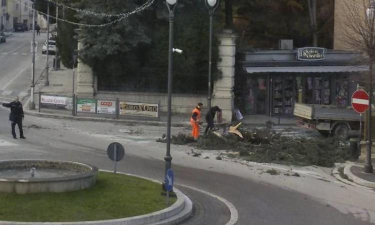 Vento forte nell'entroterra maceratese: tanti interventi per alberi caduti sulle strade