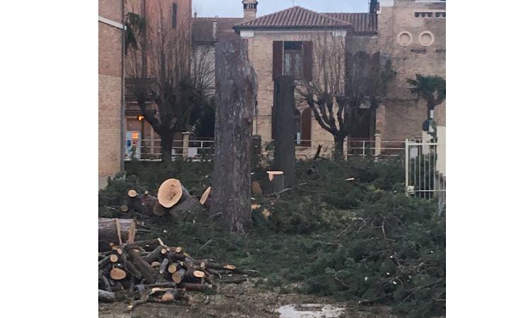 Uniti per Treia: “Urgente il censimento delle piante, a rischio viale Lazzarini”