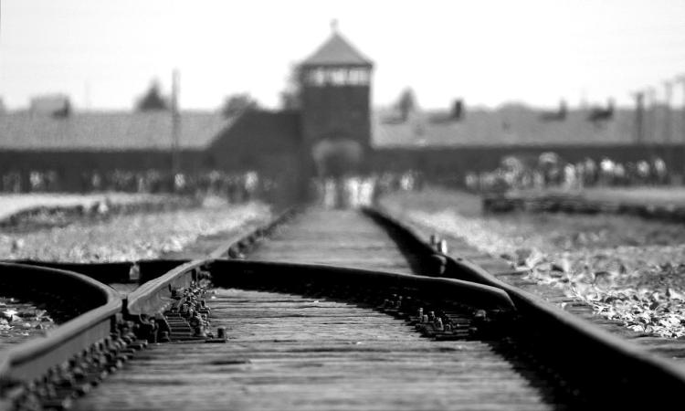 Giorno della Memoria: le iniziative in provincia