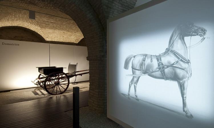 Macerata, domenica al Museo: doppio appuntamento a palazzo Buonaccorsi tra carrozze e “percorsi di rinascita”