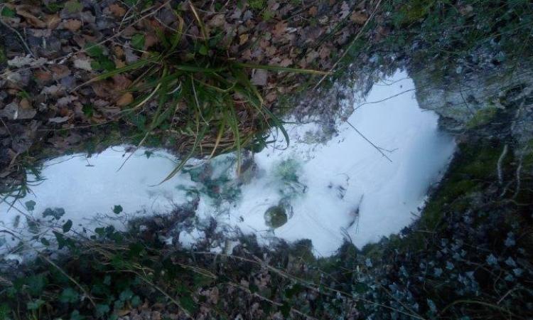 San Severino, azienda inquina involontariamente un torrente: denunciato il titolare
