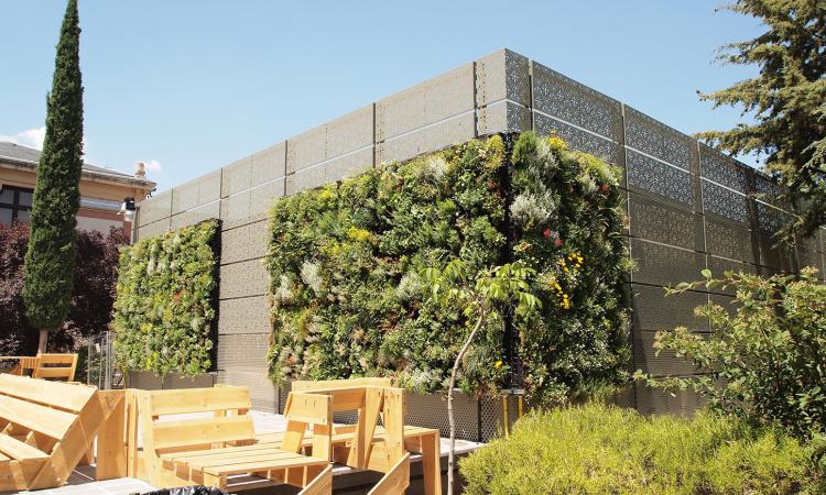 Anche Unicam nello studio sull’efficienza energetica dei giardini verticali