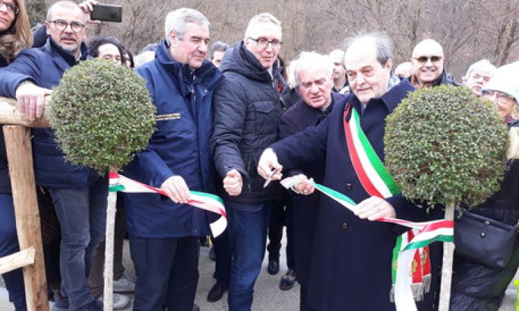 Consegnate 70 casette nel maceratese, Ceriscioli: "Sae passaggio temporaneo"