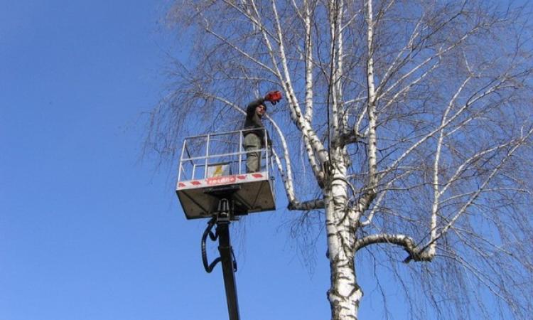 Traffico, limitazioni alla viabilità lungo la “Septempedana” dal 3 aprile