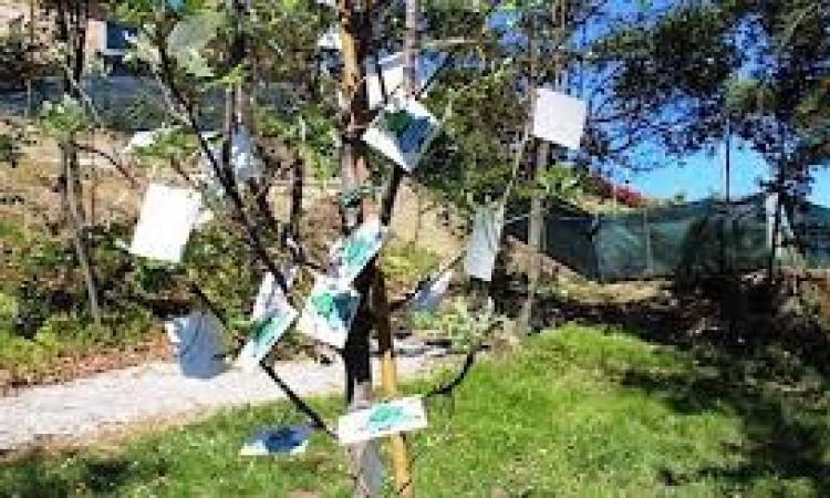 Domani a Montelupone c'è la Festa dell’Albero Domani a Montelupone c'è la Festa dell’Albero