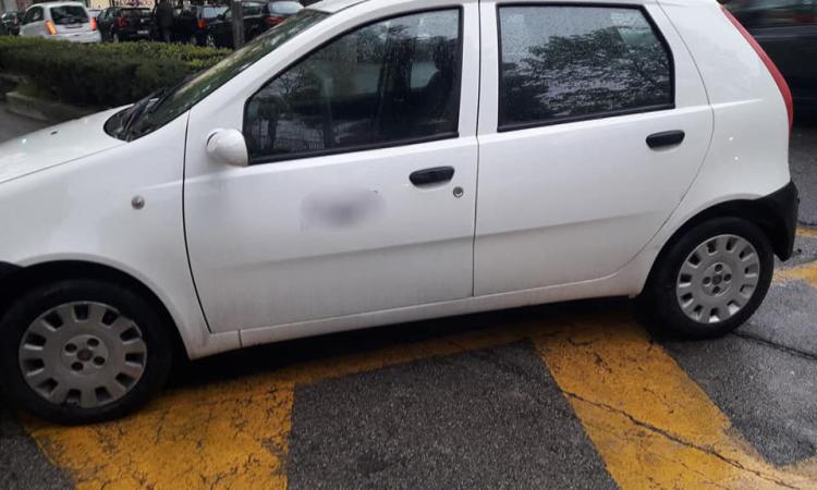 Macerata, parcheggi selvaggi: auto senza permesso in posteggi destinati ai disabili Macerata, parcheggi selvaggi: auto senza permesso in posteggi destinati ai disabili